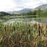 De La Vallée Exterior