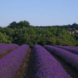 Café De L'avenue Extérieur