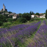 Café De L'avenue Extérieur