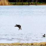 Commune De Chalette Sur Loing Boisson