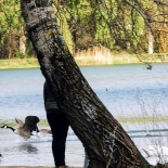 Commune De Chalette Sur Loing Extérieur