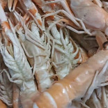 Le Panier D'audrey drink