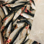 La Cantine De Jean Essen