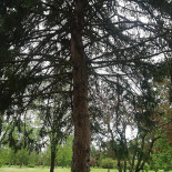 Auberge Saint Jacques Exterior