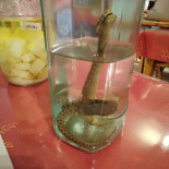 Pascal Ghigonetto Jocelyne Marguerite Bebida