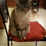 Le Galapagos À l'intérieur