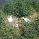 De La Marine Exterior