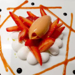 Les Oiseaux Philippe Bebida