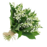 La Cave des Tontons Bebida