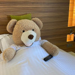 Brit Hôtel Le Kerodet Bebida