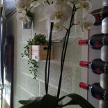 Fritas'tique Friterie De Frelinghien Boisson