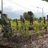 La Bonne Auberge Extérieur