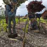 La Bonne Auberge Extérieur