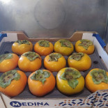 Fritas'tique Friterie De Frelinghien Boisson