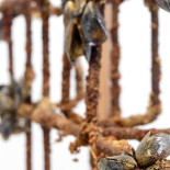 Quantin Germaine Boisson