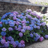 La Creperie De La Forge Exterior