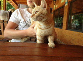 Vellosar Kaubanduse Oue Boisson