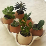 La Boite A Oeufs drink