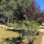 Village De La Combe Location De Chalets A Domme En Perigord Noir Piscine Chauffee Et Couverte Exterior