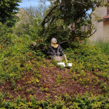 De La Place Exterior