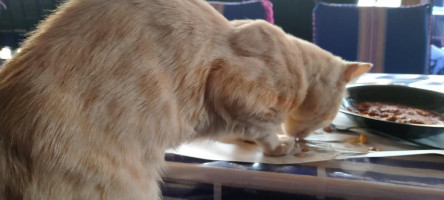 Café Marisco Twins menu