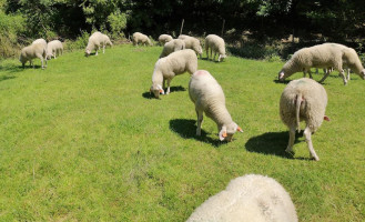 Hostinec U Polnich Myslivcu Extérieur