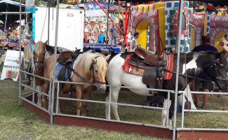 Restaurace Kd Jistebnice Extérieur
