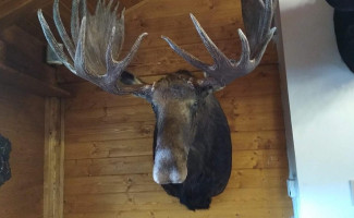 Penzion Myslivna drink