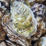 Au Rythme Des MarÉes L'huÎtre La Toulverne Bebida