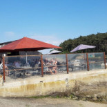 Au Rythme Des MarÉes L'huÎtre La Toulverne Exterior