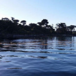 Au Rythme Des MarÉes L'huÎtre La Toulverne Exterior