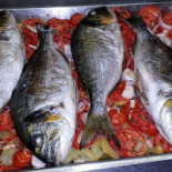 RÀpid Pasta Nourriture