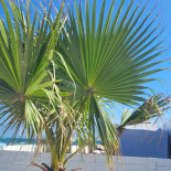 La Plage Des Bikinis outside
