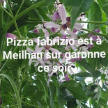 Pizza Fabrizio drink