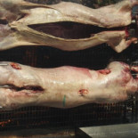 Brasserie Des Sangliers drink