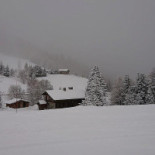 Le Loup Blanc Extérieur