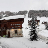 Le Loup Blanc Extérieur