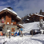 Le Loup Blanc Extérieur