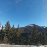 Le Loup Blanc Extérieur