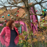 Camping Lilipin Exterior