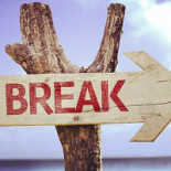 Les Platanes Extérieur