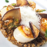 Château de la Treyne food