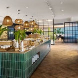 L'oiseau Perdu Dentro