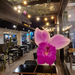 La Table d'Oc Dentro