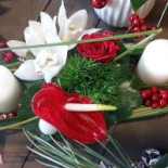 Le 40 Boulevard Bebida