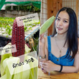 Leisure Center Of Mansigné Bebida