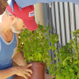 Baraka La Guinguette Pizzeria Pizza Bebida