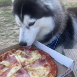 La Villa Toscane food