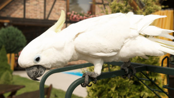 Nendrinė Pastogė Sodyba Boisson