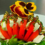 Le Cochon à L'Oreille Cibo